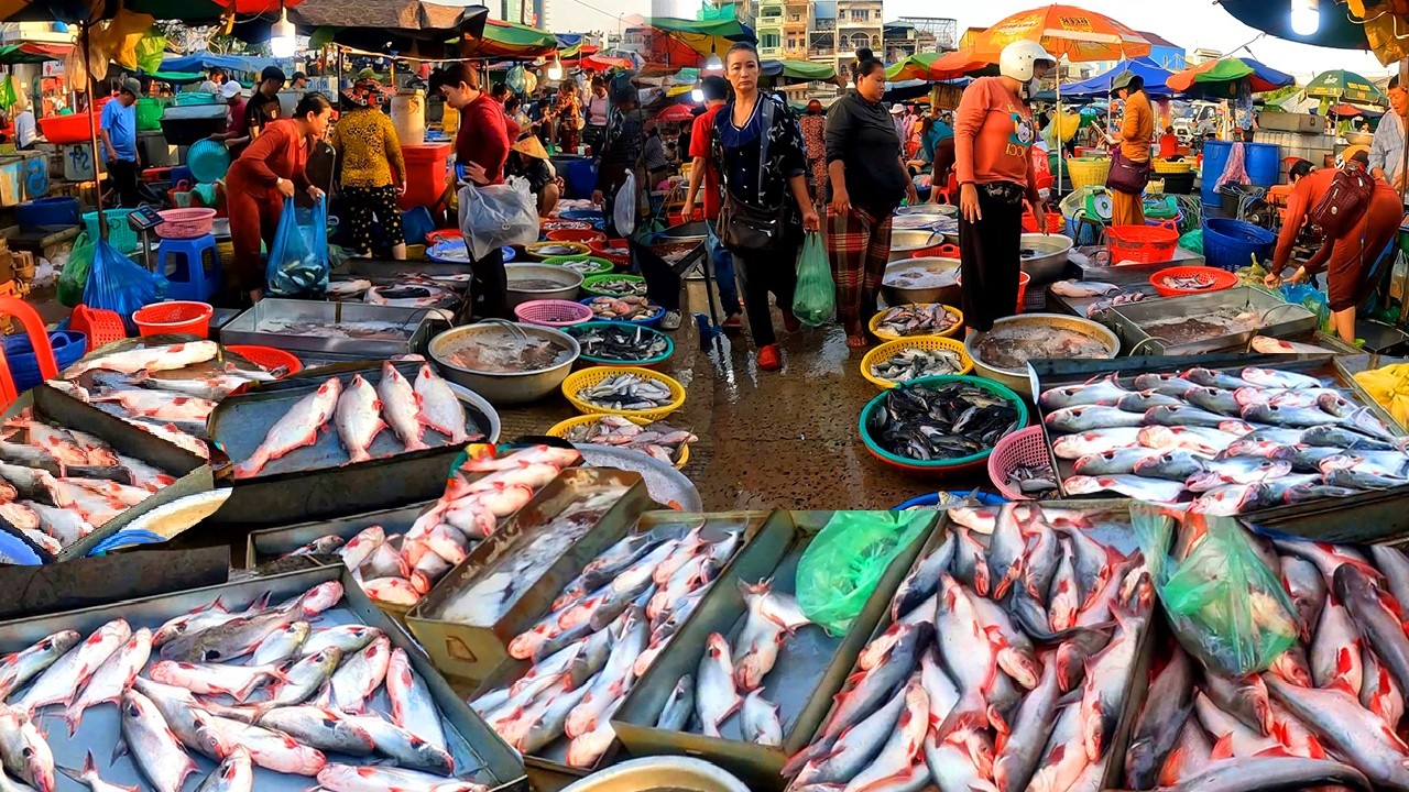 Cambodia Fish Distribution Market, Wet Market, Abundant Fish, River Fish, Freshwater Fish Market