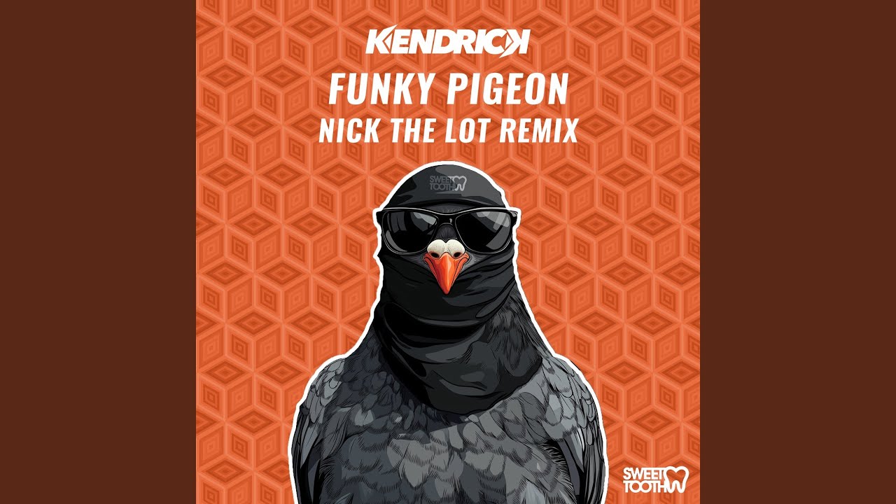 Funky Pigeon (Nick The Lot Remix)