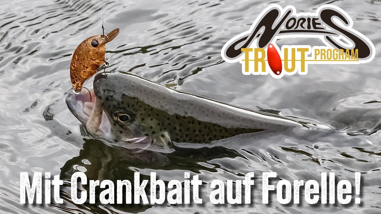 Ge(crank)te Forellen! Mit dem Worming Crank Shot Spin Shallow auf Forelle!