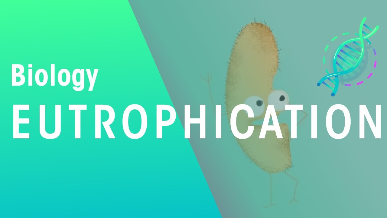 What Is Eutrophication | Agriculture | Biology | FuseSchool