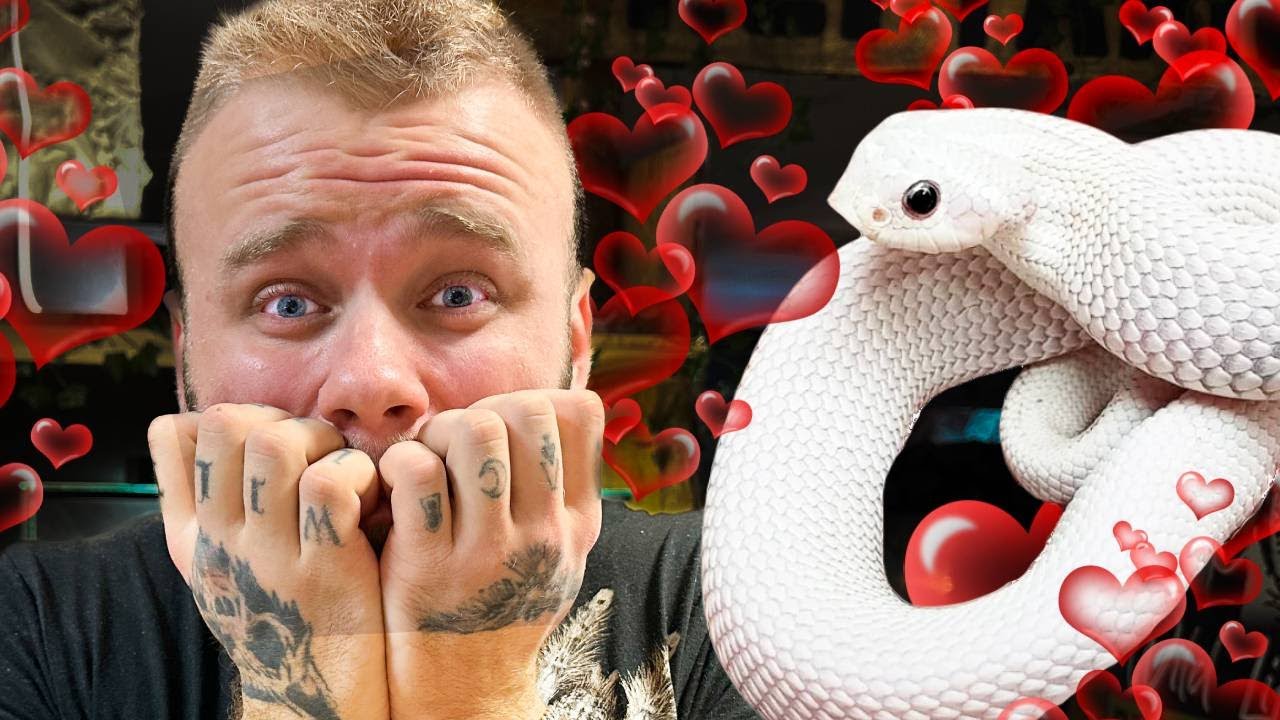 ❌NAJSŁODSZY WĄŻ ŚWIATA❌NIE DA SIĘ GO BAĆ🤯