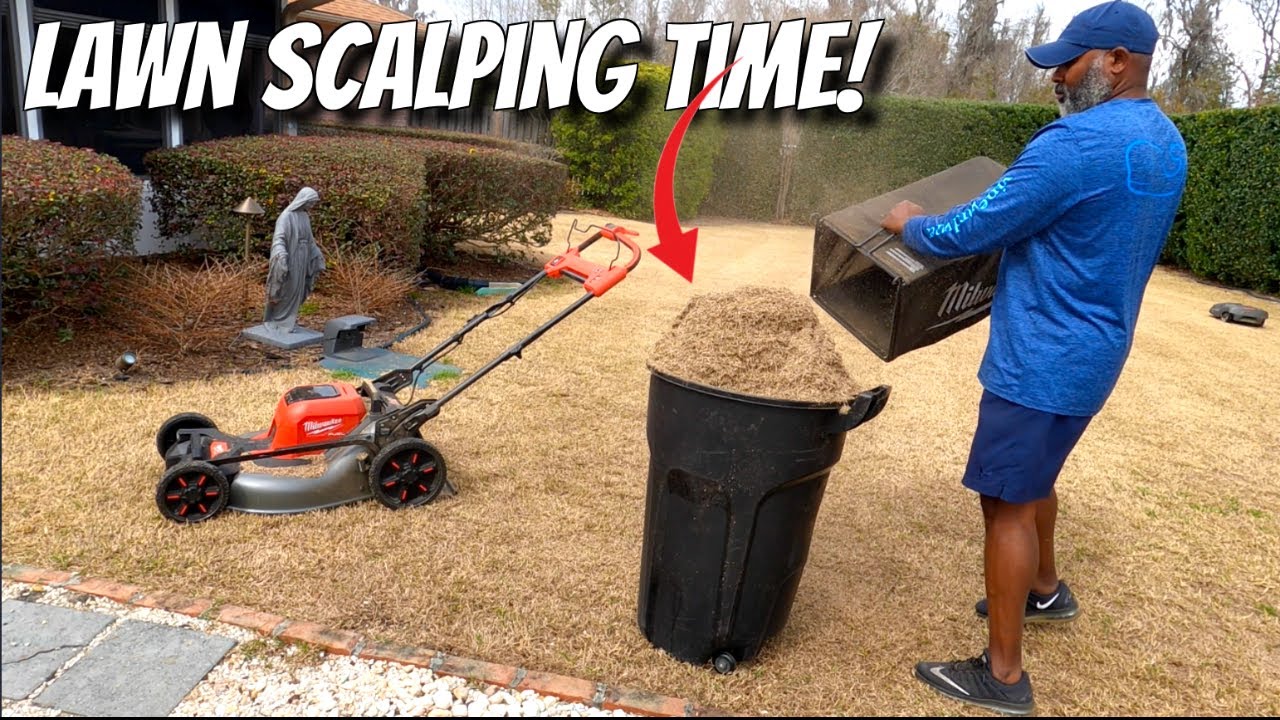 Lawn Scalping Bermuda grass | New Milwaukee M-18 Battery Mower
