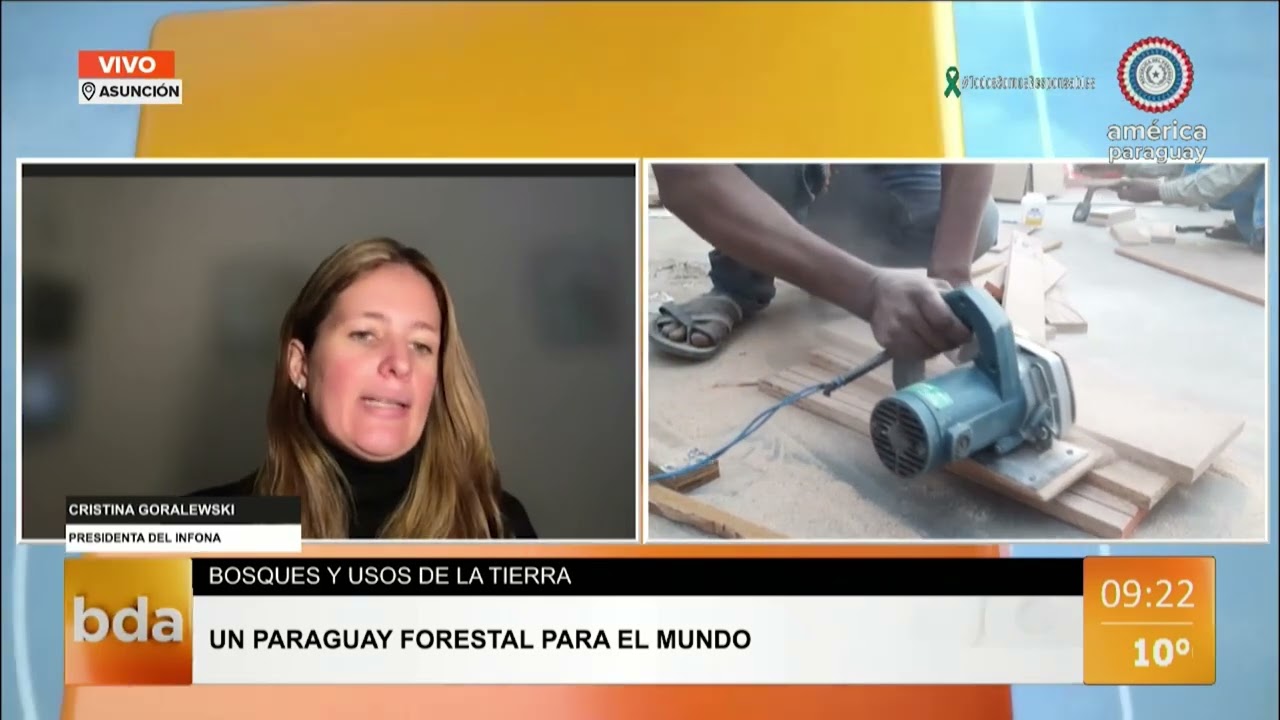 Paraguay rompe récord de exportación en madera contrachapada por segundo mes consecutivo