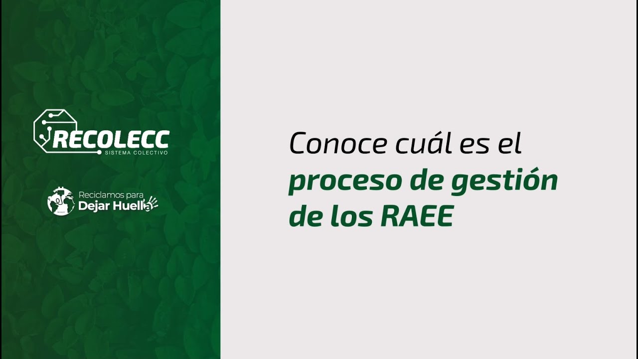 &iquest;Cu&aacute;l es el proceso de gesti&oacute;n de los RAEE en el Per&uacute;?