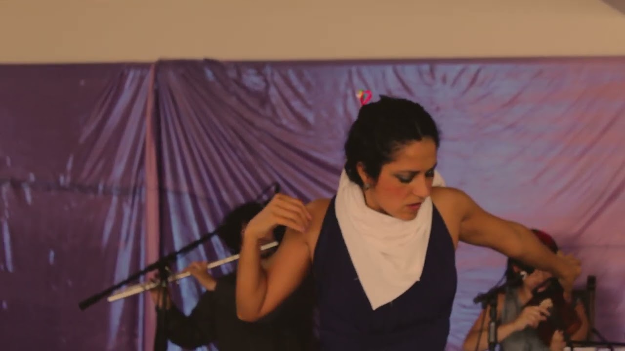 El Gavilan de Violeta Parra I Flamenco