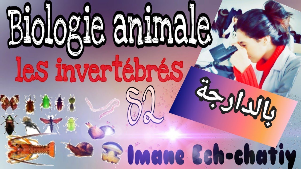 Biologie animale S2 les invertébrés *les protozoaires*