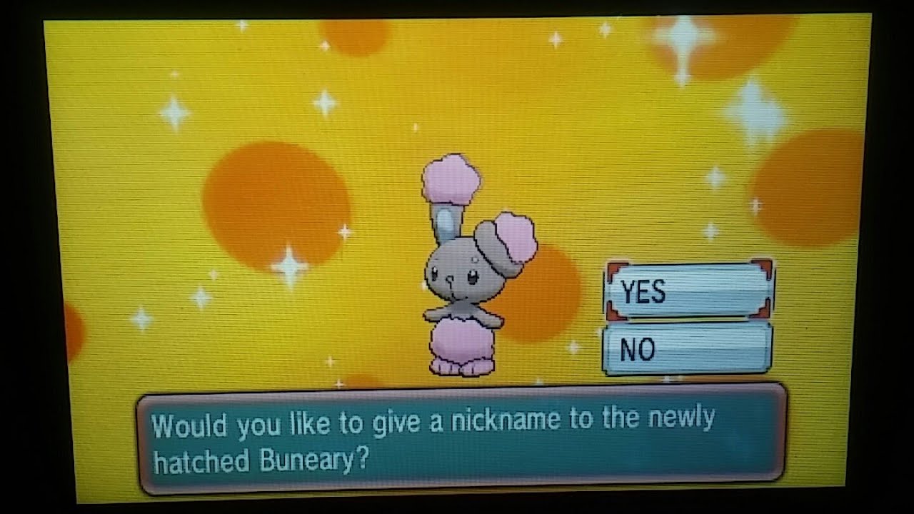 Live Shiny Buneary After 1 Egg