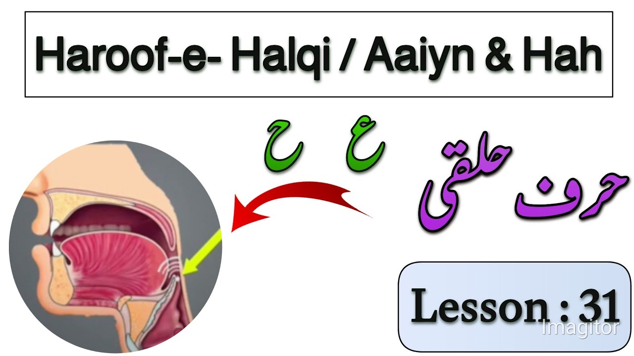 Halqi Makhrij |AAIYN & HAA | Haroof -e-Halqi Ada KARNAY ka Sahi Tarika |Makhrij  Haroof in Urdu.