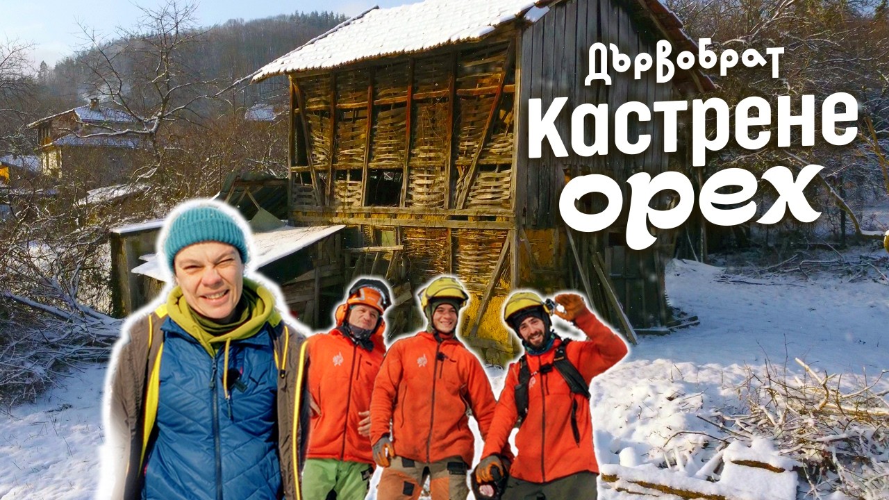 Зимна резитба на орех с екипа Дървобрат при –10°C | Един студен ден на село
