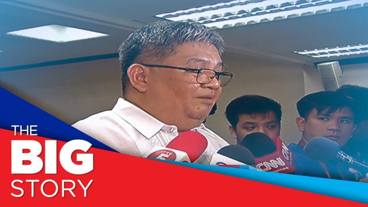 Comelec commissioners Guia, Guanzon react to approval of Cardema’s petition