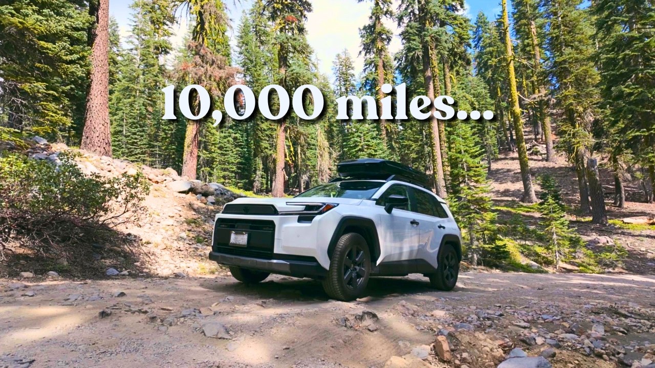 10 000 миль на Toyota RAV4 Woodland 2026 года