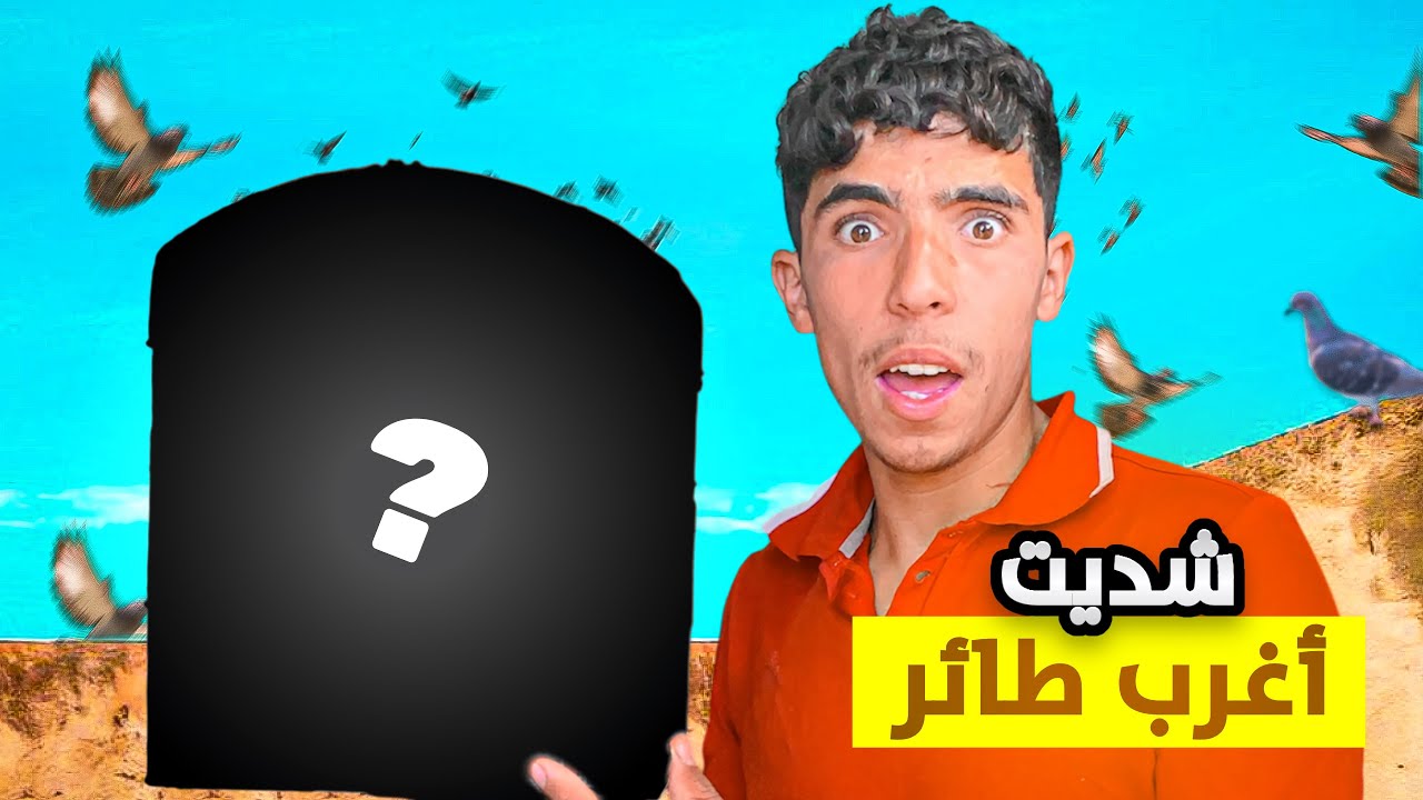 توليعة في الحمام🕊️شديت أجمل طائر😍ميمكنش شحال ثمن ديلو🤯