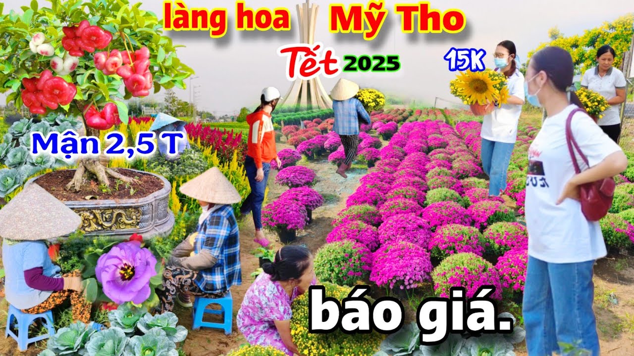 Sôi nổi