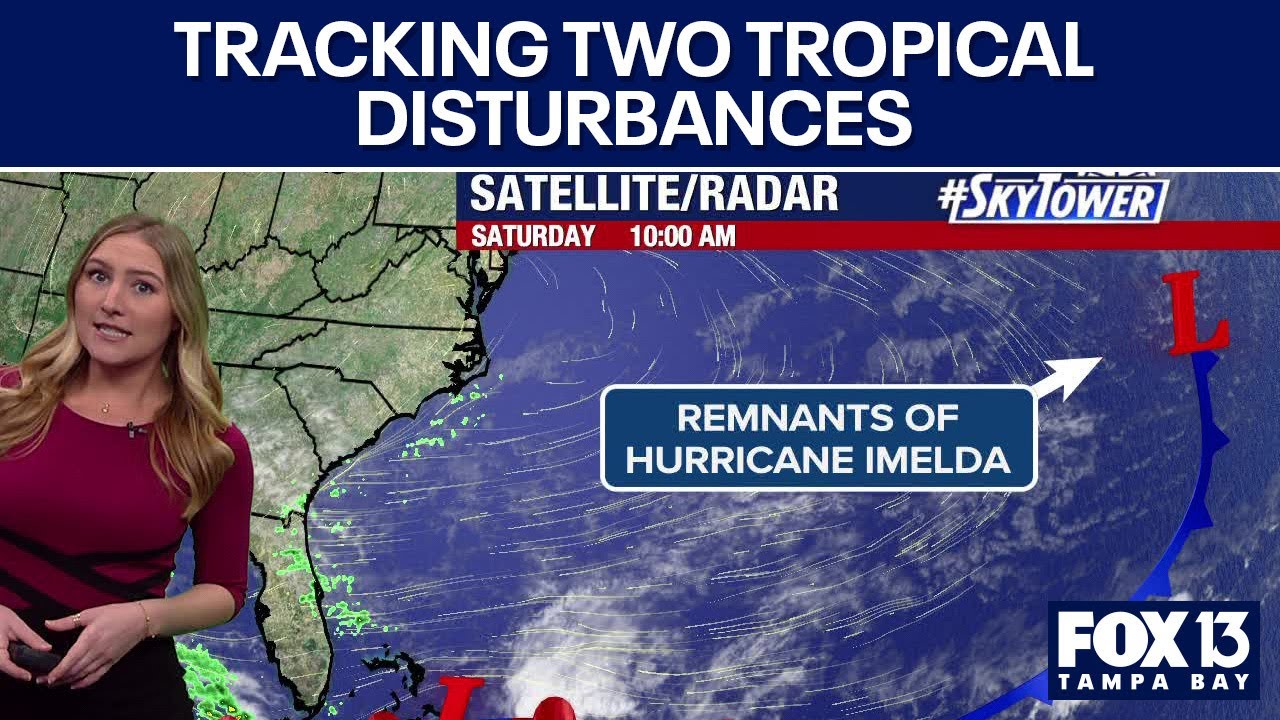 Tracking two tropical disturbances