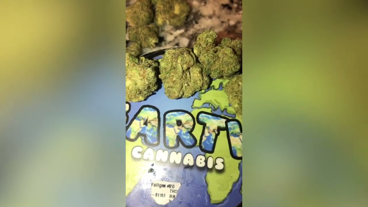 Full Gas Strain Review (Smk Brk 420)