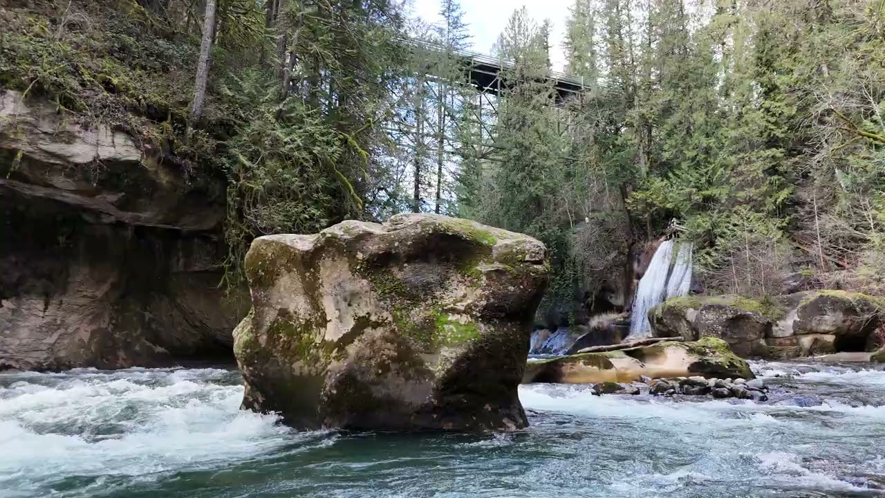 🌿 | Peaceful No-Sound Nature Scene💧 Flowing River, Whispering Falls 4k