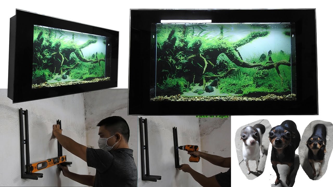 Aquarium model 25 - Wall mounted fish tank