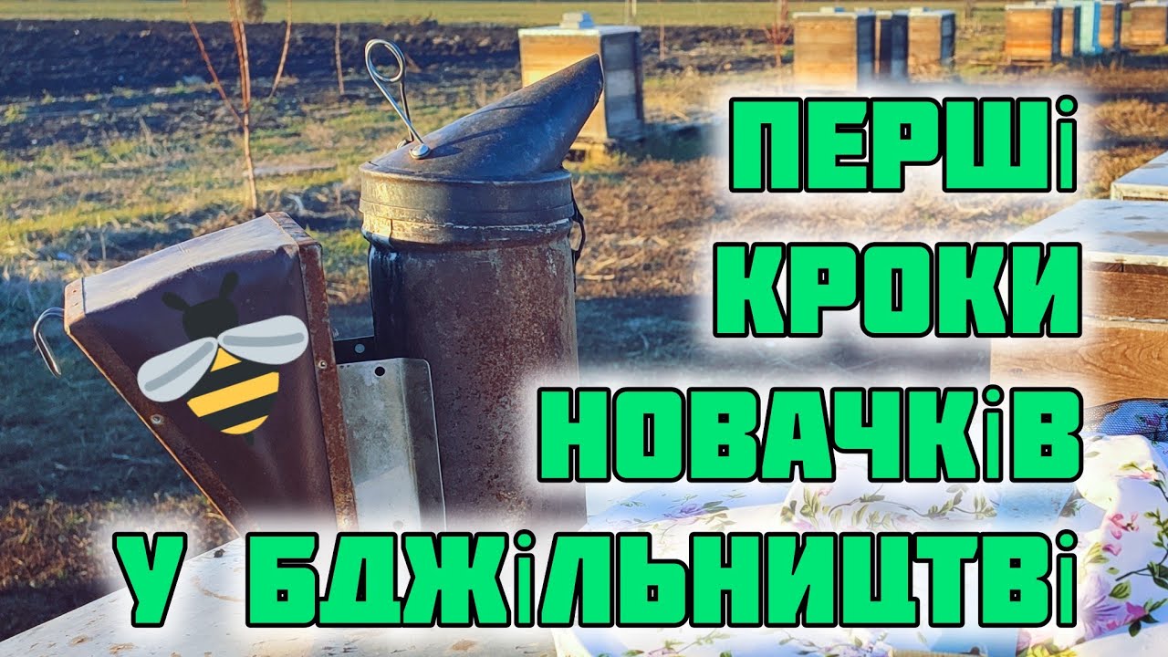 ✅З чого почати успішне бджільництво?