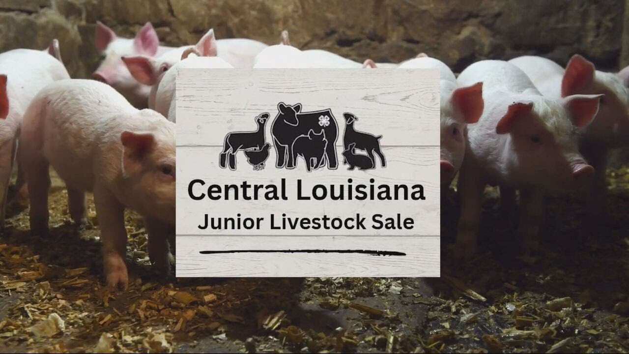 2026 Central Louisiana Junior Livestock Sale
