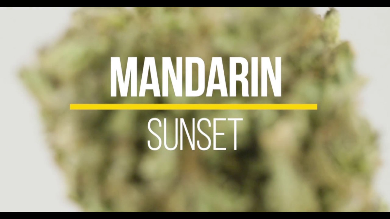 Mandarin Video Review