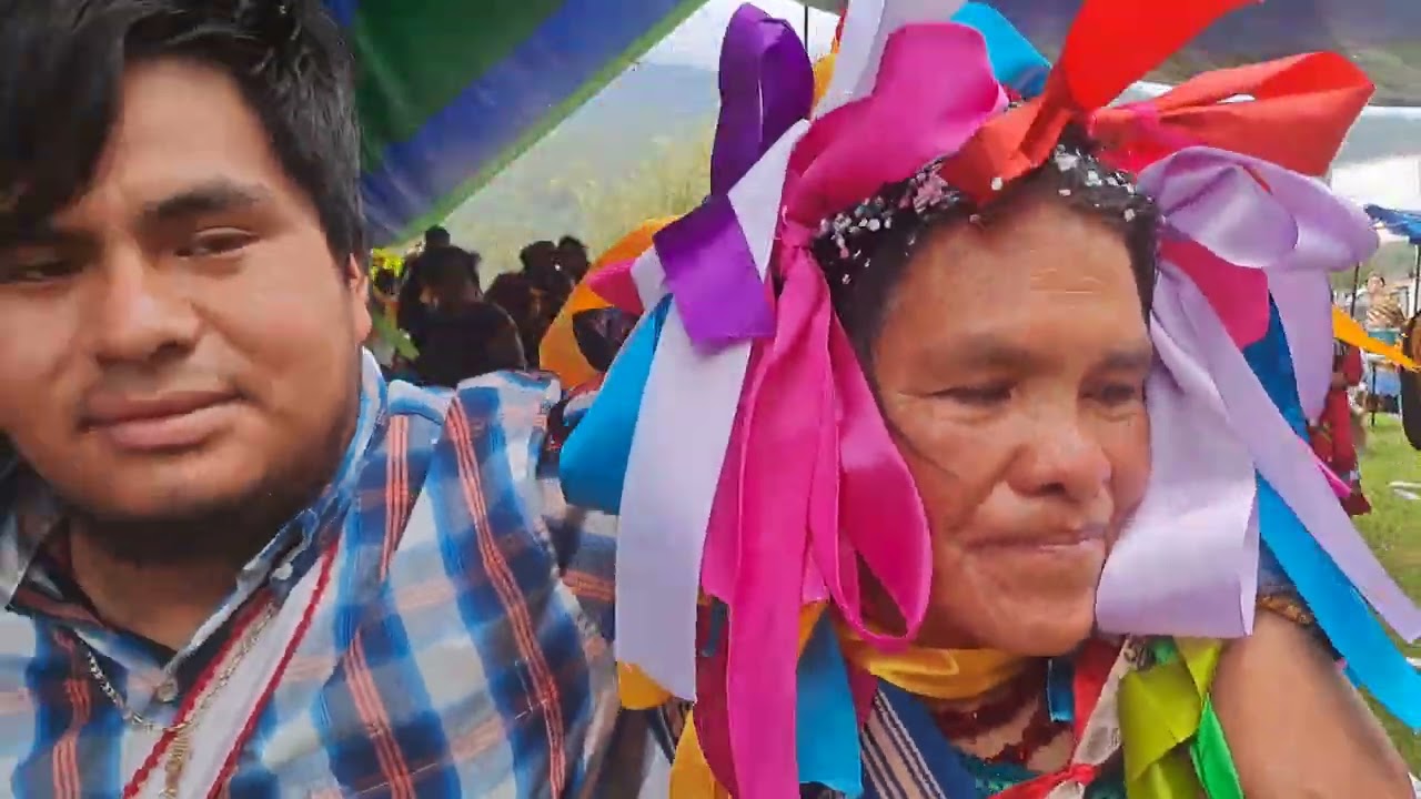 tradicional corte de hojas ahuiran la tradición continua como cada año ambiente purepecha 17/9/2023