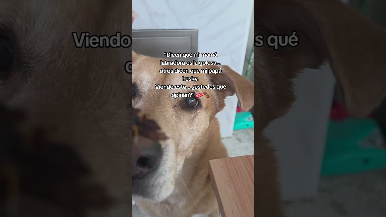 Misterio familiar