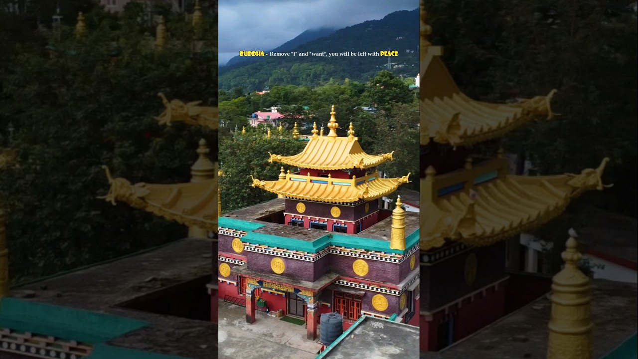 #22 The Best Monastery In Bir Billing | Himachal Pradesh #monastery #birbilling #30dayschallenge