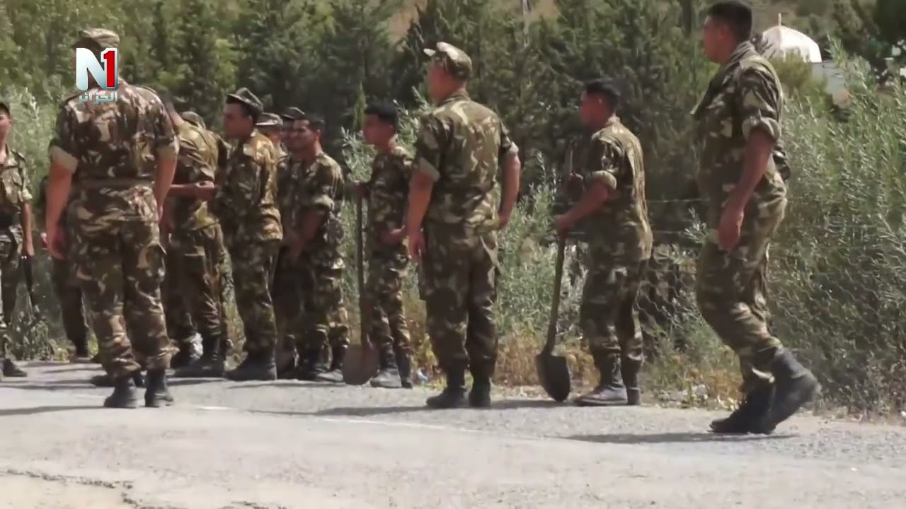 كلمة رئيس بلدية عين بسام  طارق بن سالم حول حرائق الغابات بالبويرة