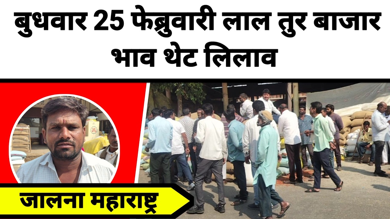 बुधवार 25 फेब्रुवारी लाल तुर बाजार भाव थेट लिलाव जालना महाराष्ट्र || लाल तुरीला काय मिळतो भाव