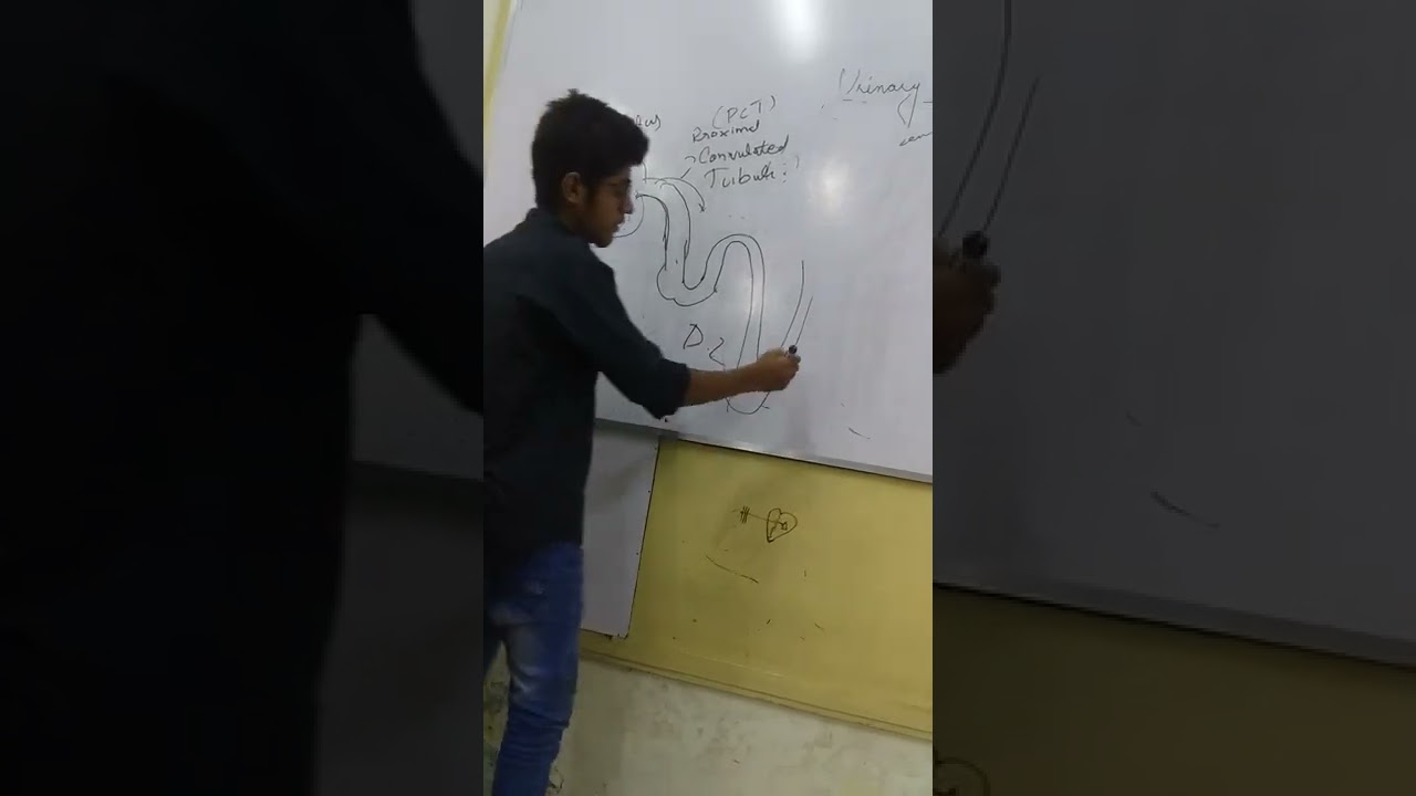 Urinary System in Hindi /Urdu | Bas pass hojao gay 
