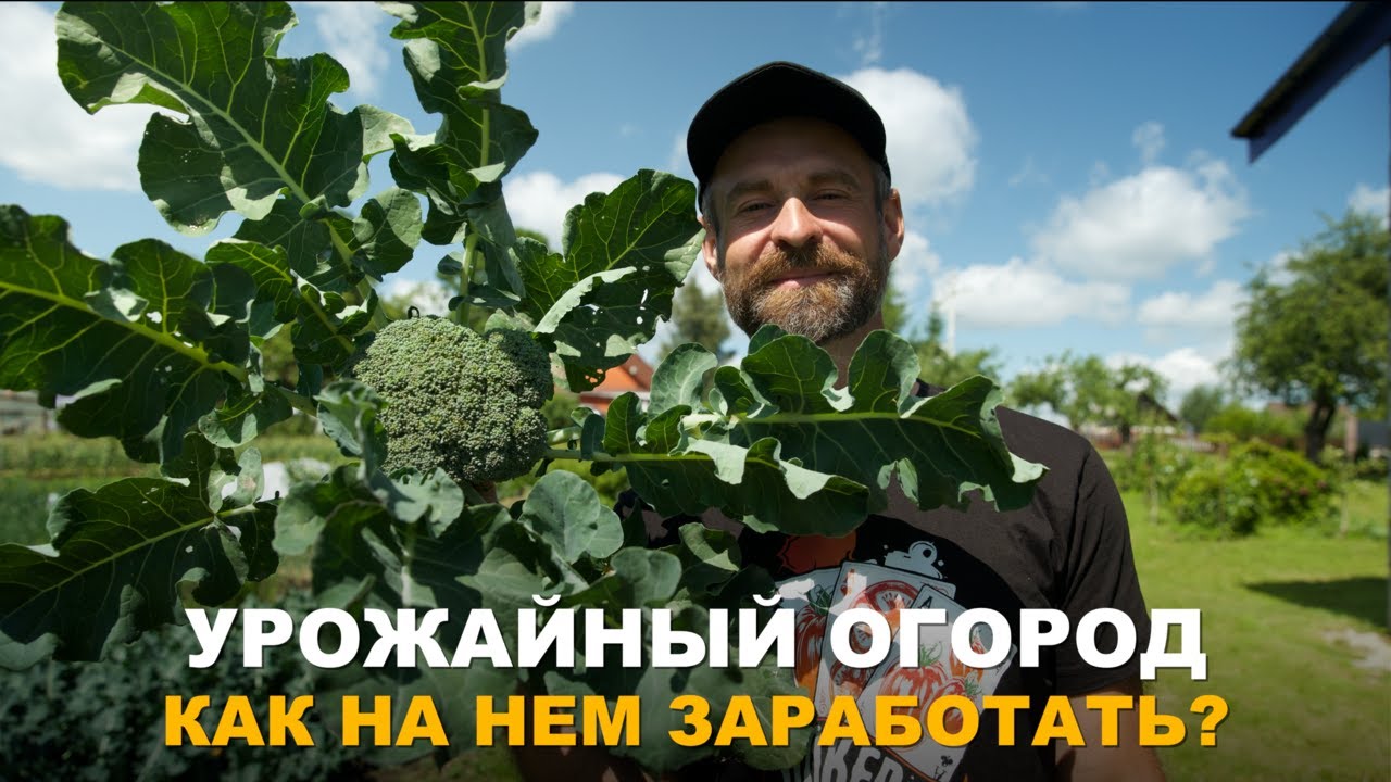 ДАЖЕ НЕБОЛЬШОЙ ОГОРОД ПРИНЕСЁТ ПРИБЫЛЬ. Овощные культуры для второго урожая, прибыльность огорода.