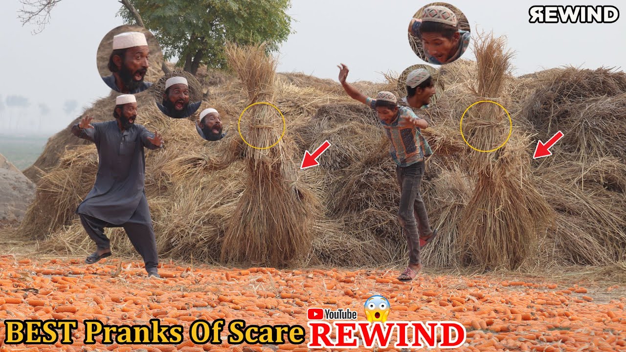 Best Of Fails Prank BUSHMAN Rewind Part-3😆 !! @PendoBrandTv