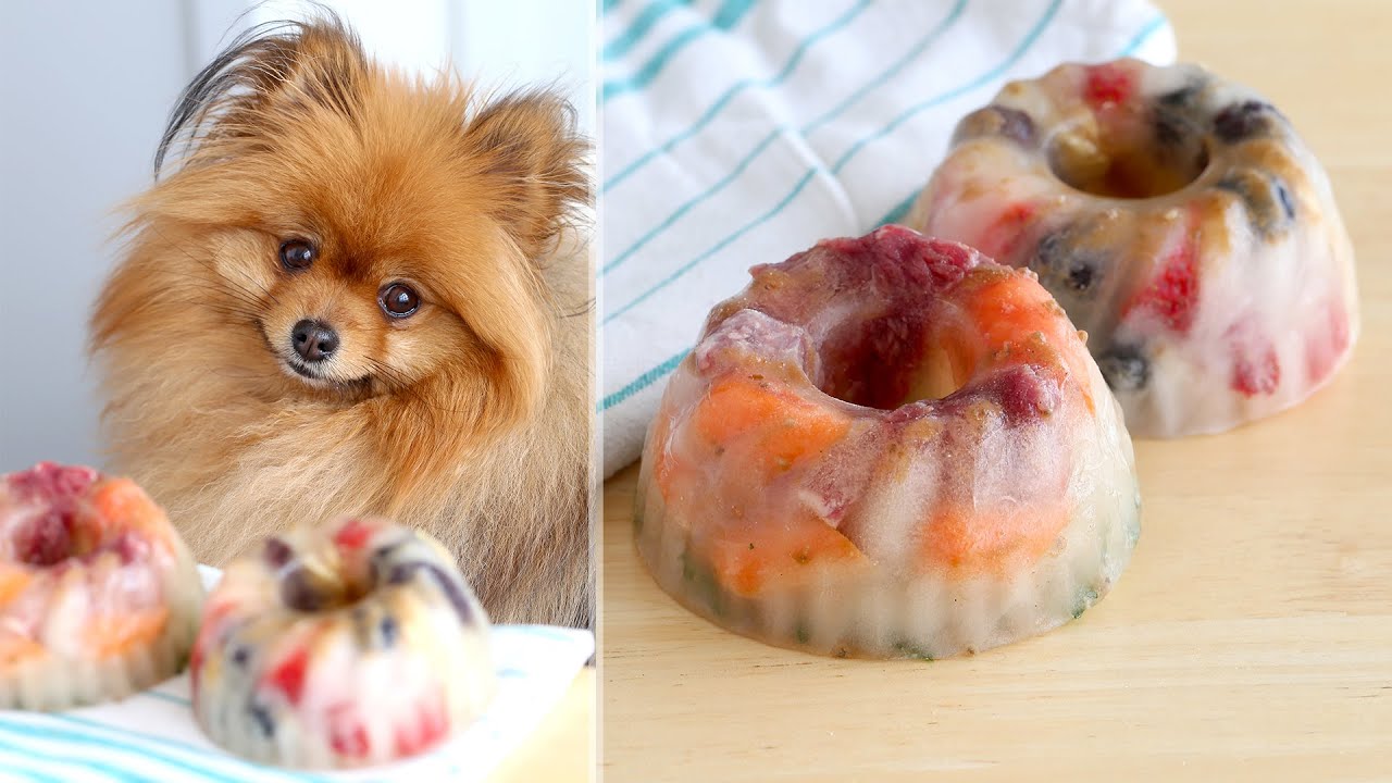 Homemade FROZEN Dog Treats Recipe! Summer Treats to Cool off Your Puppy!