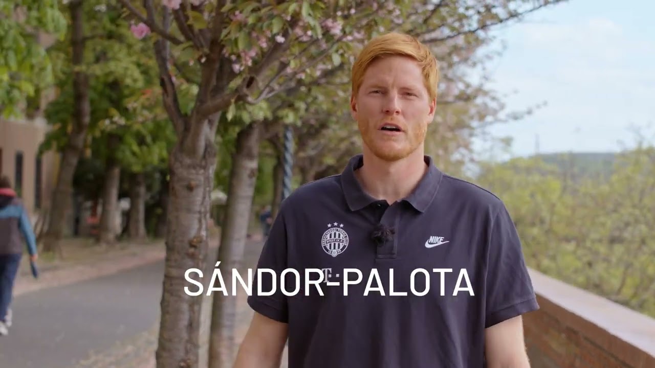 &Aacute;d&aacute;m Bogd&aacute;n on the Buda Castle District