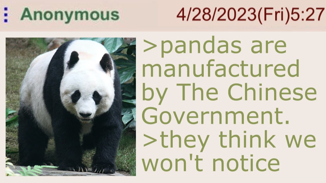 Пользователь 4Chan разоблачает китайский фейк о панде &mdash; 4Chan Greentext Stories