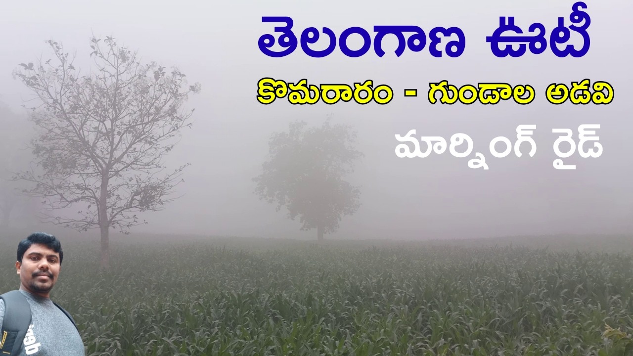 Komararam - Gundala Forest Ride | Early Morning Fog Ride in Telangana 🌫️🌲 #medaram #gundala