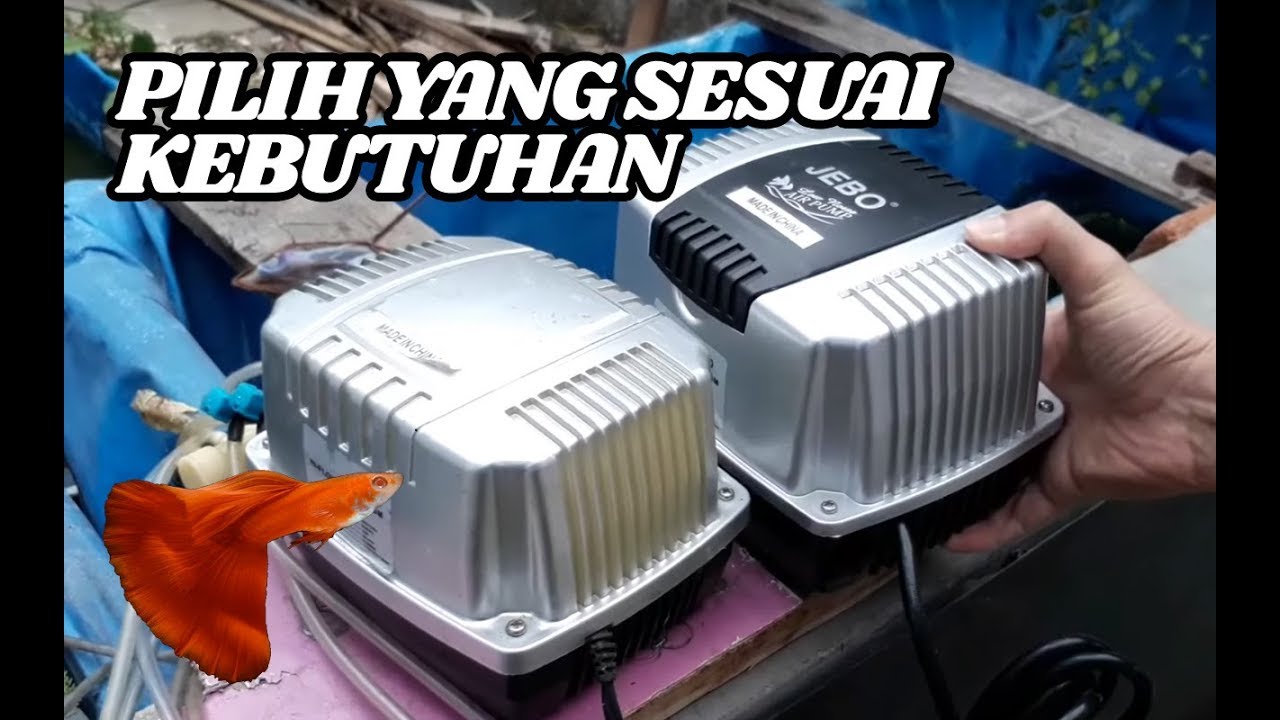 Review produk Aerator Blower Jebo P30 P50