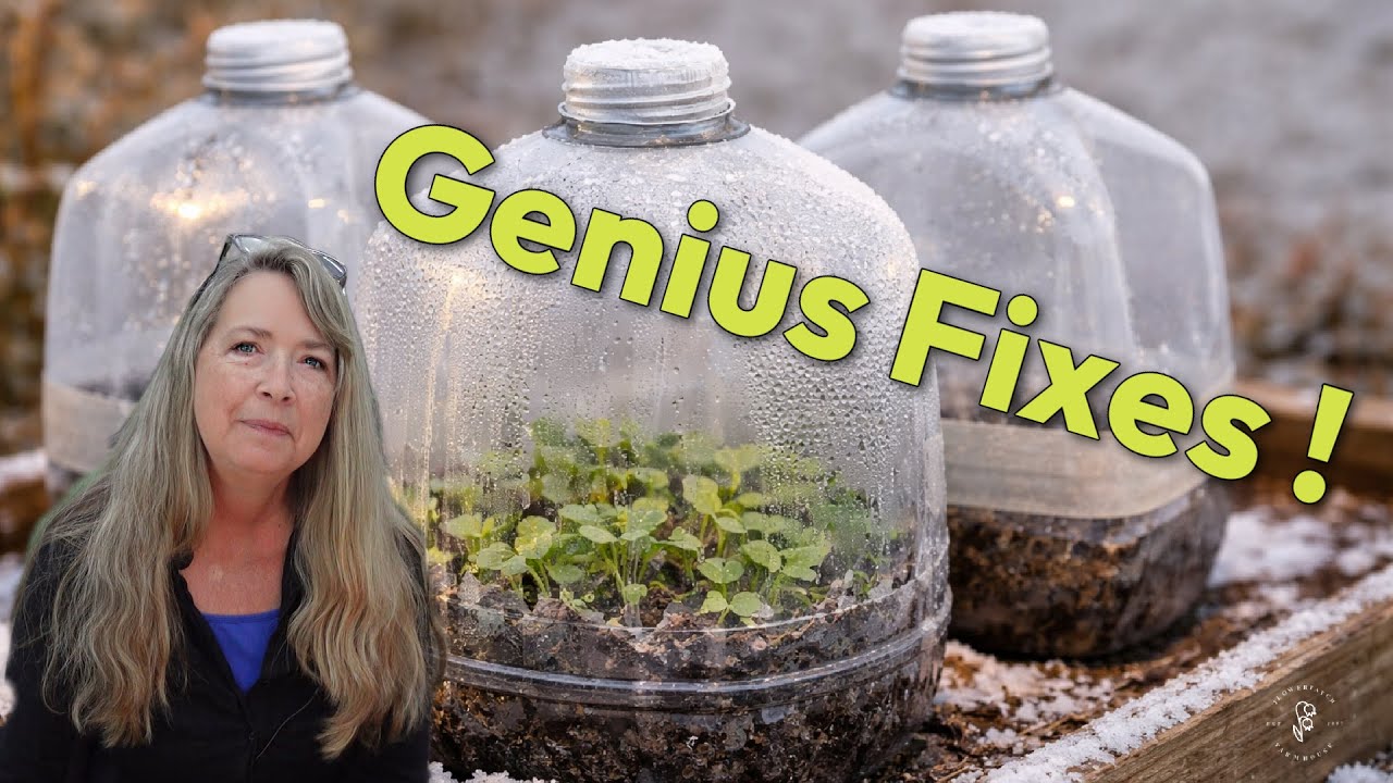 21 Winter Sowing Mistakes You Wish You Knew Sooner!