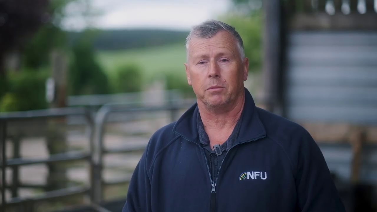 Heat Detection in Jersey Heifers - Allflex SenseHub Customer Testimonial