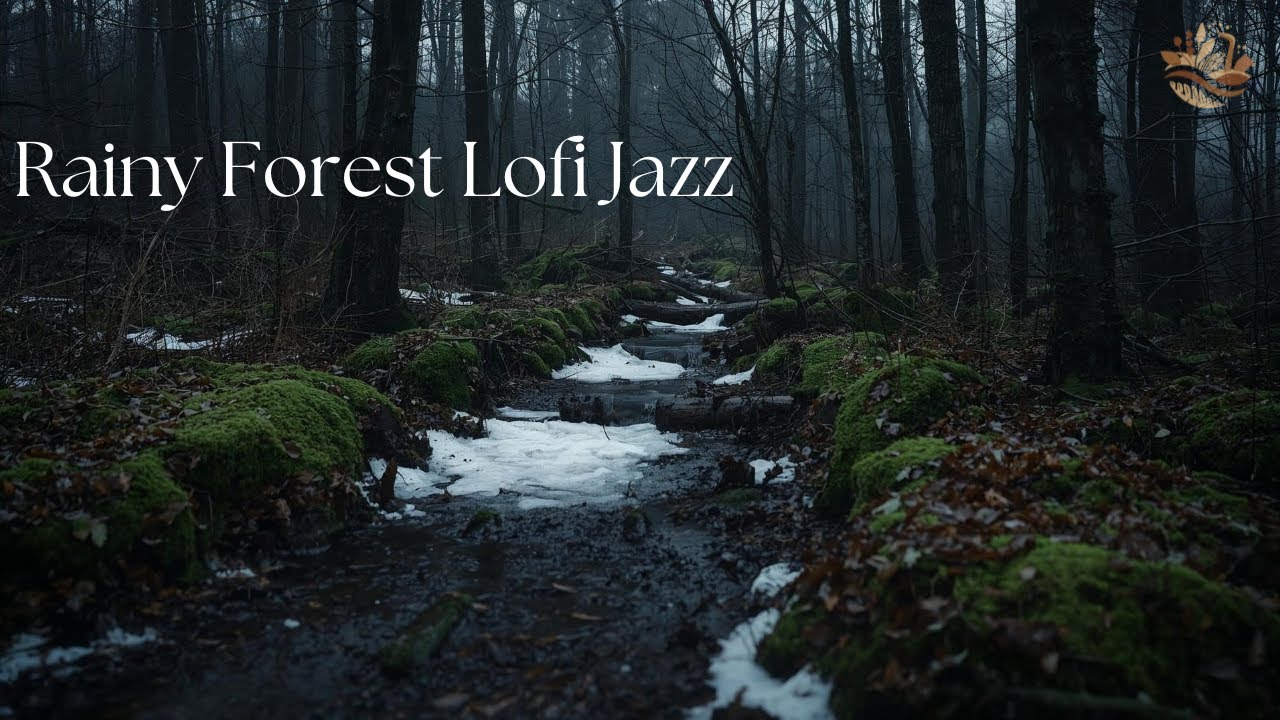 Rainy Winter Forest 🍃🌧️ | Lofi Jazz & Nature Ambience (4K)