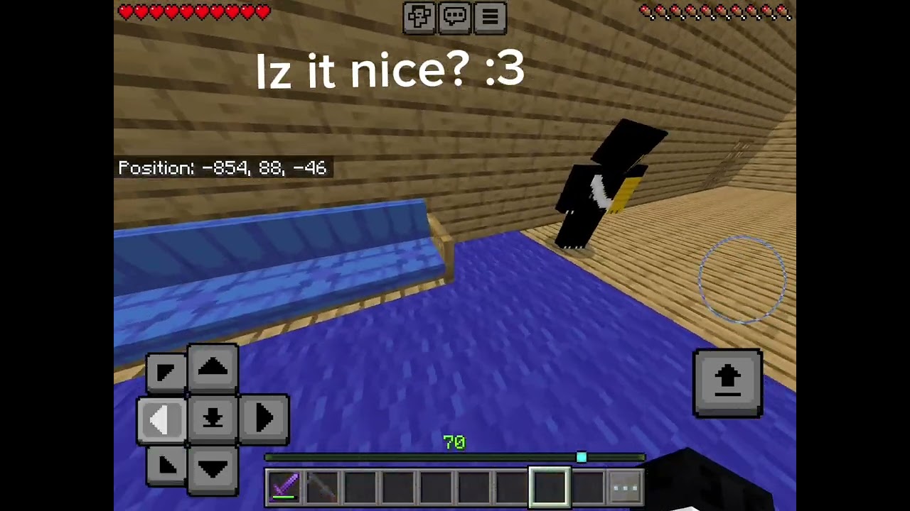 Minecraft Arg but the Protagonist is lesbian : Blame.