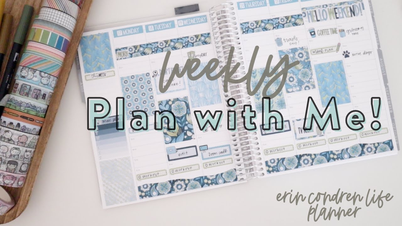 PLAN WITH ME! | Erin Condren Life Planner