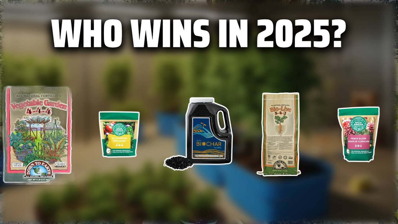 The Top 5 Best Dry Amendments in 2025 - Must Watch Before Buying!