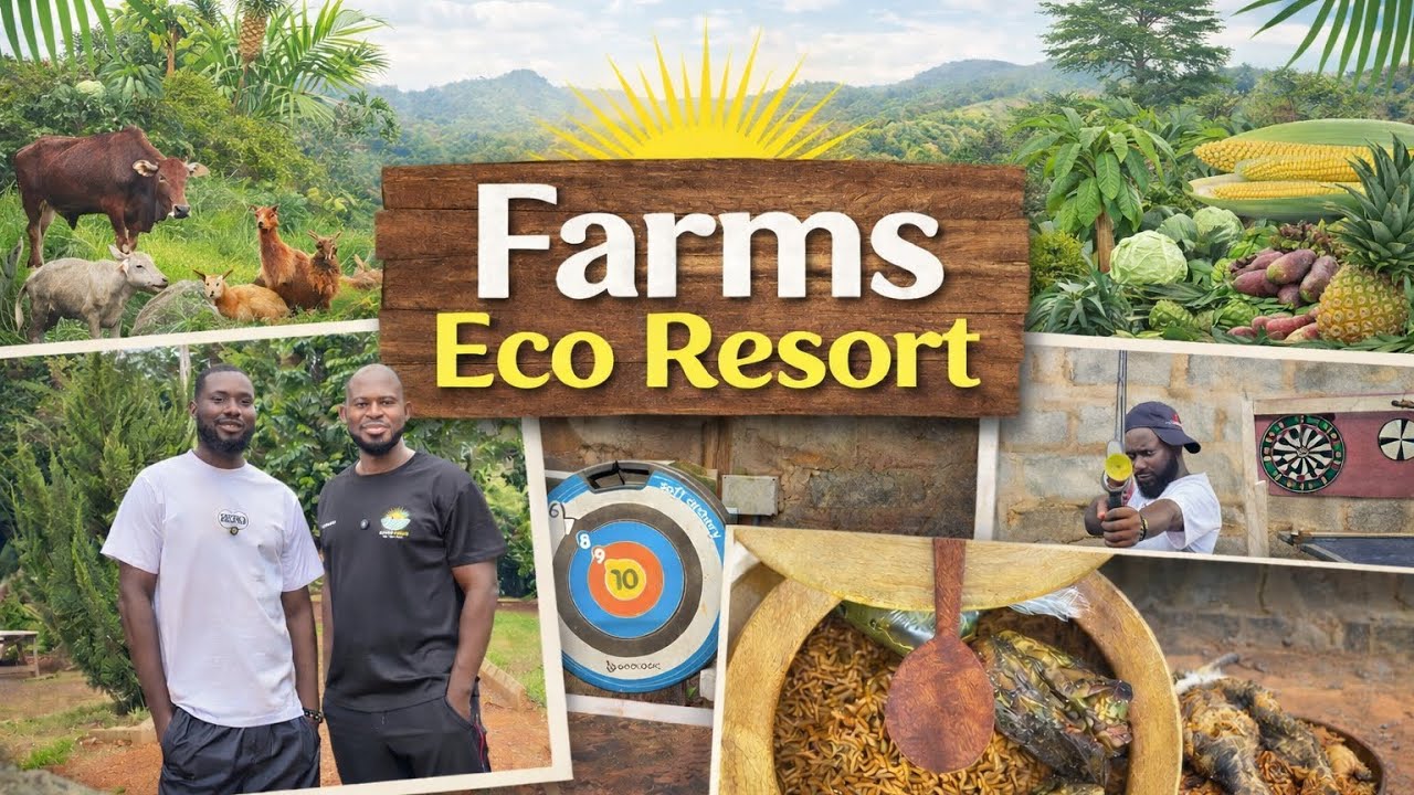 Life at Farms Eco Resort. Ghana 🇬🇭 