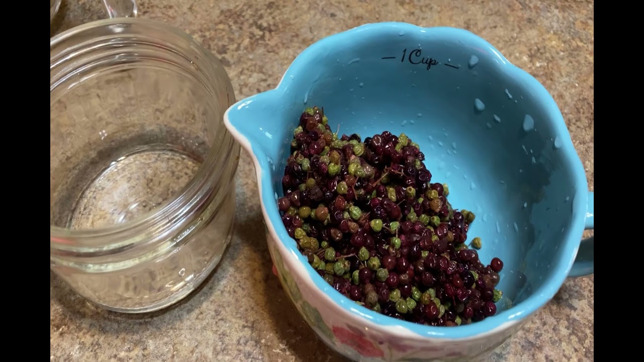 The Elderberry Capers are Tasty; let’s make a batch together