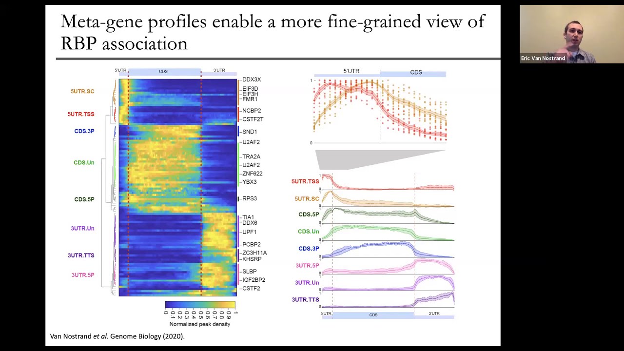 [Eric Van Nostrand] A large-scale binding and functional map of human RNA-binding proteins