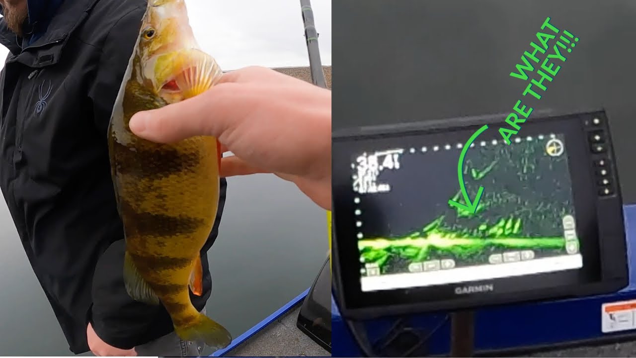 Searching a new lake for BIG WINTER PANFISH