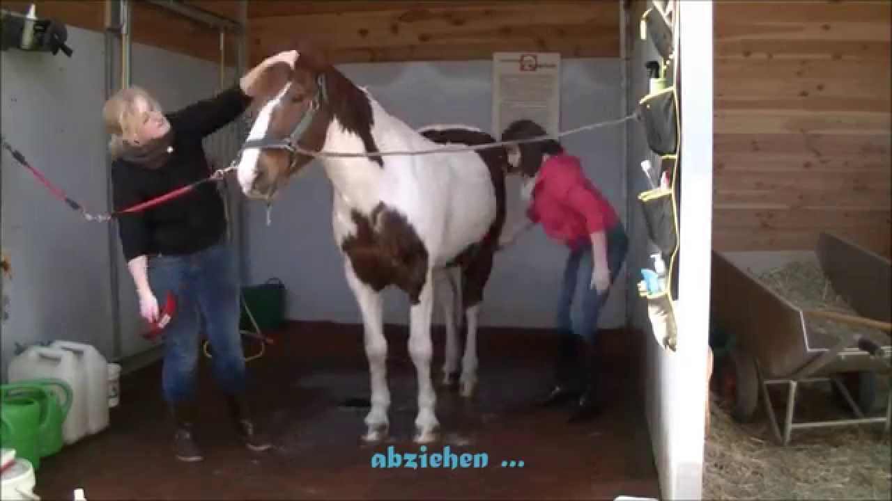 Equitana 2015 FMA Teil 1