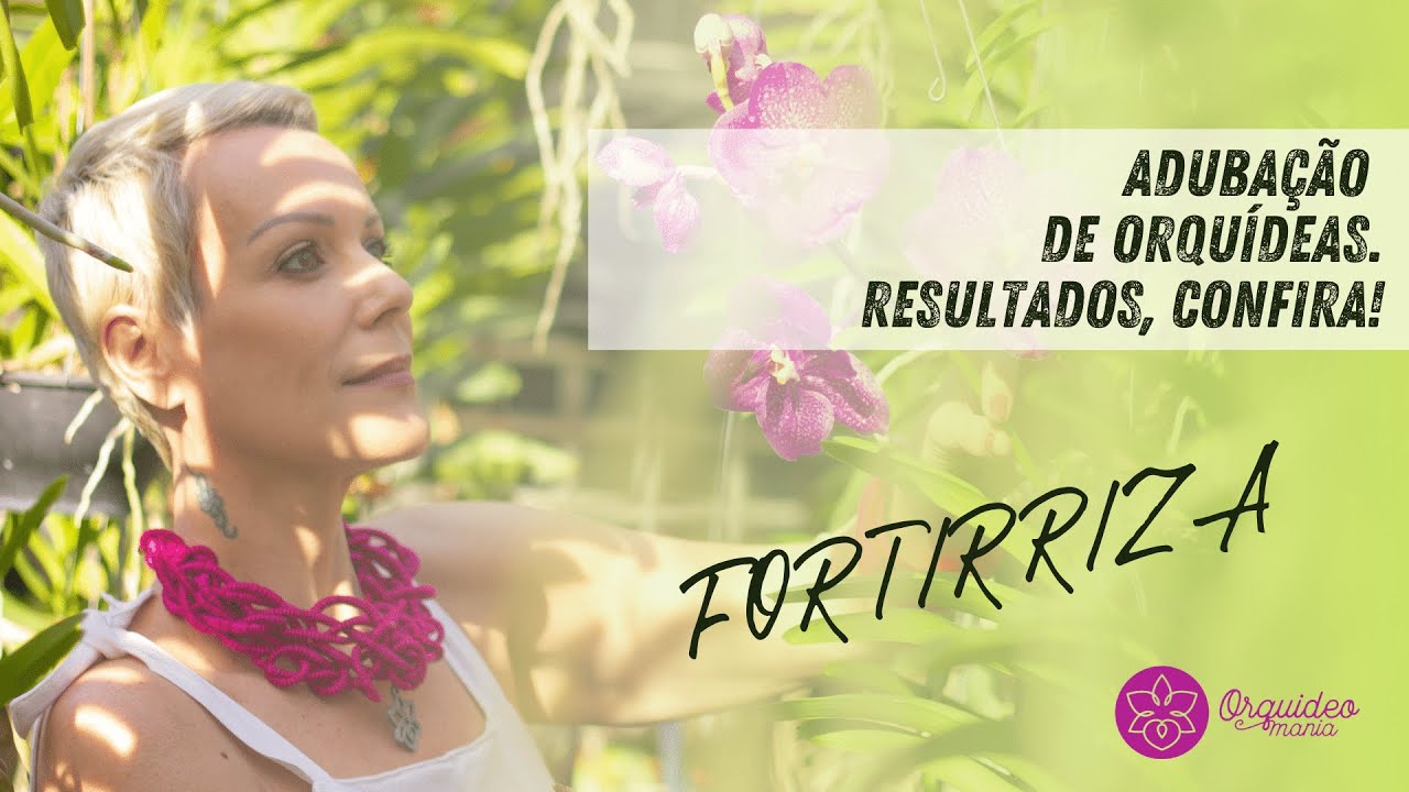 ADUBAÇÃO DE ORQUÍDEAS. RESULTADOS, CONFIRA!