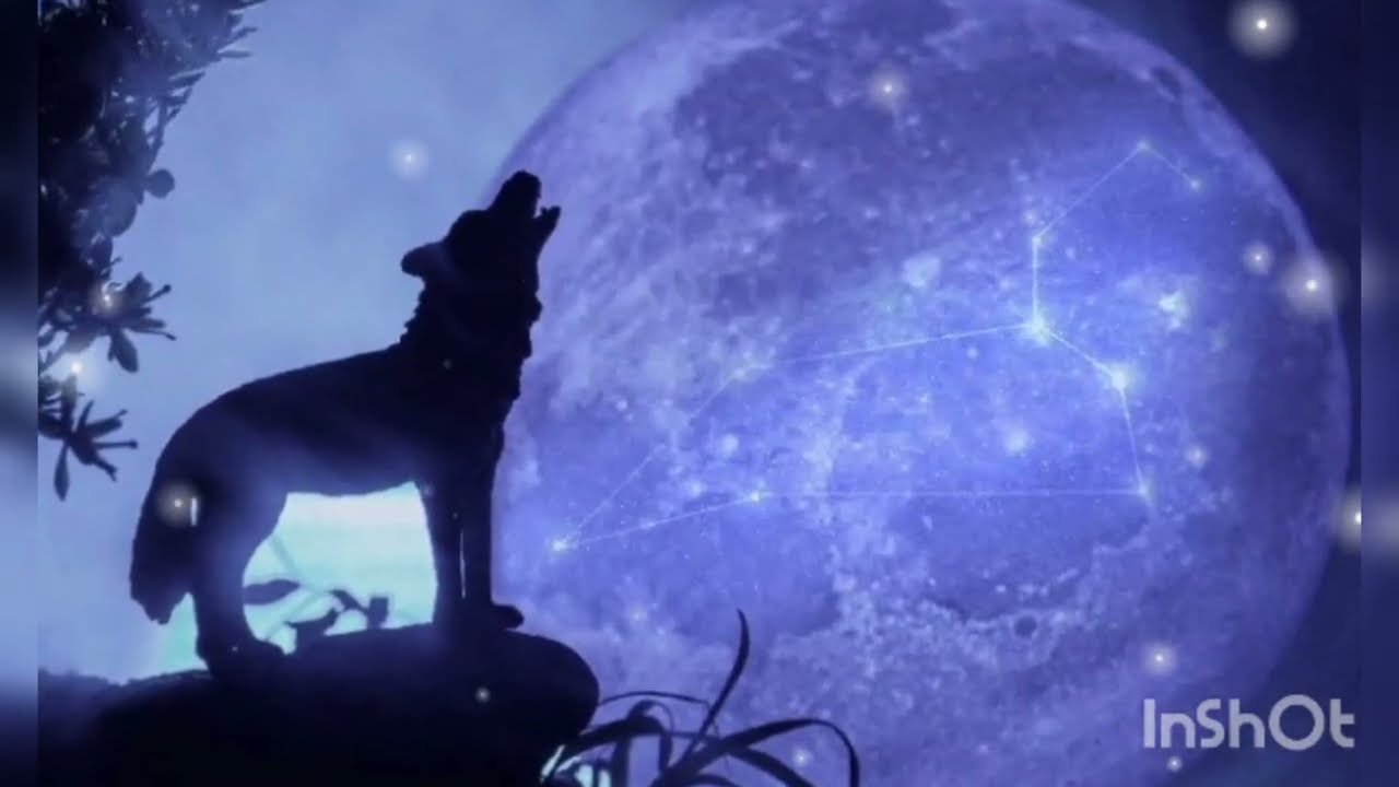 Wolf Moon (432hz)